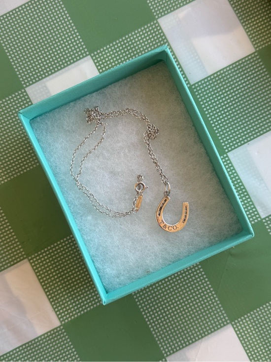 Tiffany & Co. Jewelry - Tiffany & Co. Vintage Silver Horseshoe Pendant and chain necklace